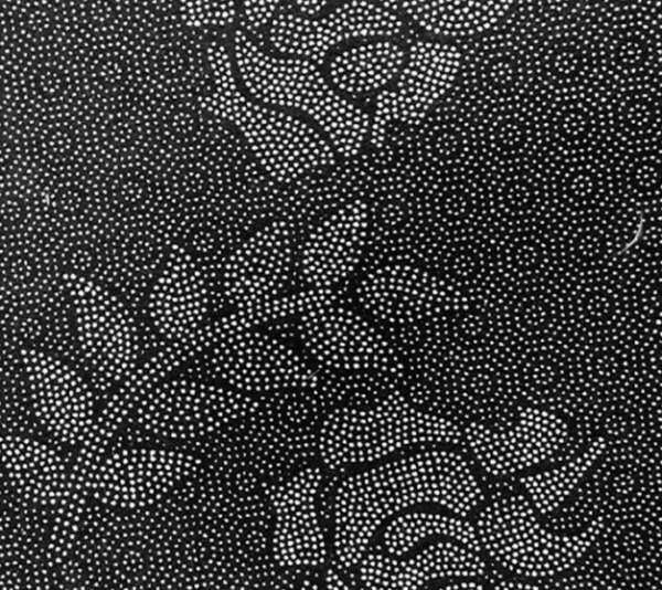 Bathroom Non-slip Floor Mat Bathroom Absorbent Carpet - Image 2