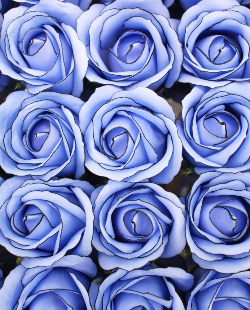 Craft Soap Flowers - Med Rose - Blue With Black Rim