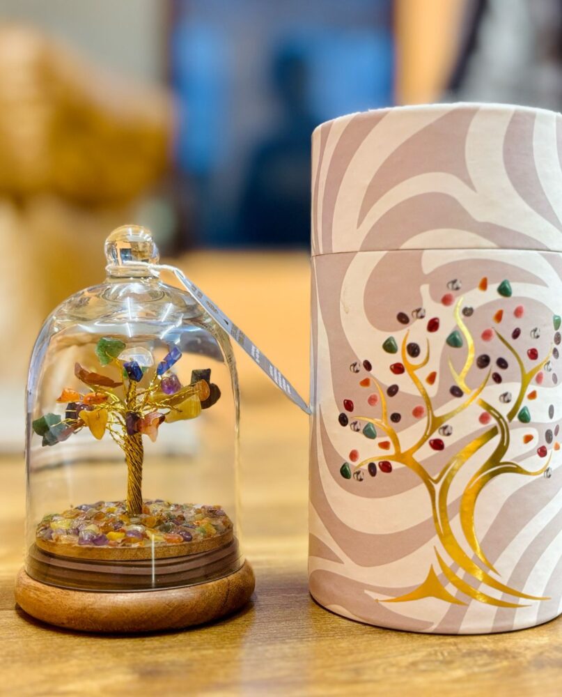 Gemstone Dome Garden - Seven Chakra  - 30 chipstones