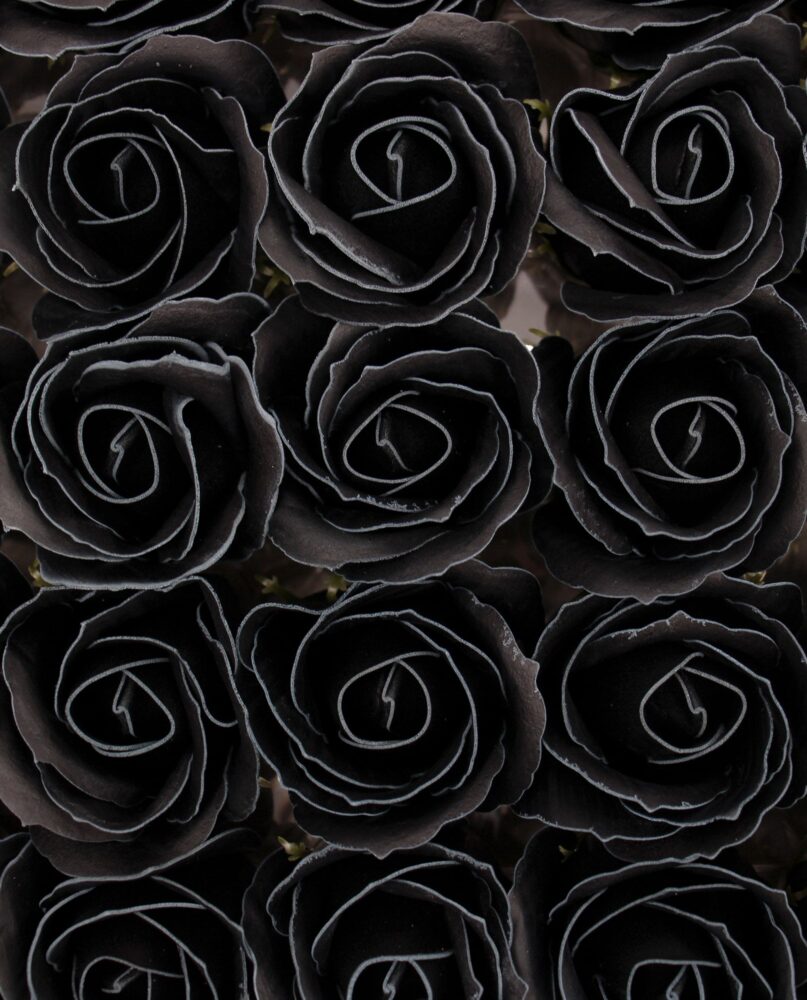Craft Soap Flowers - Med Rose - Black With white Rim