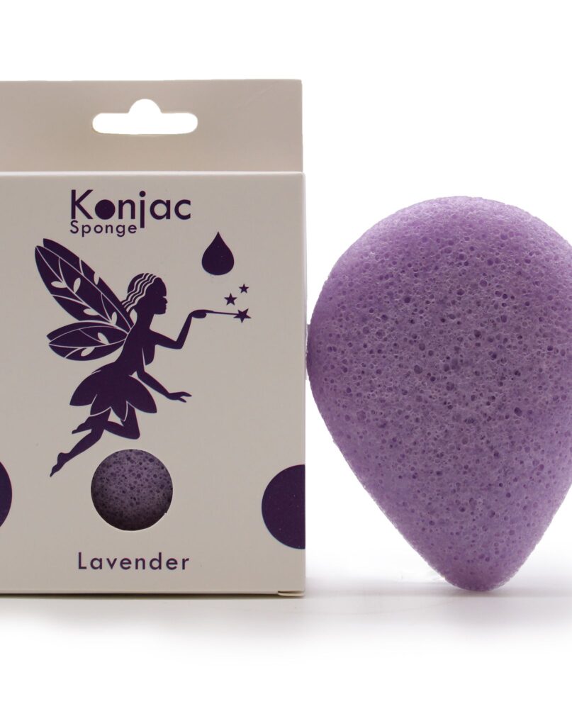 Teardrop Konjac Sponge - Lavender - Calming
