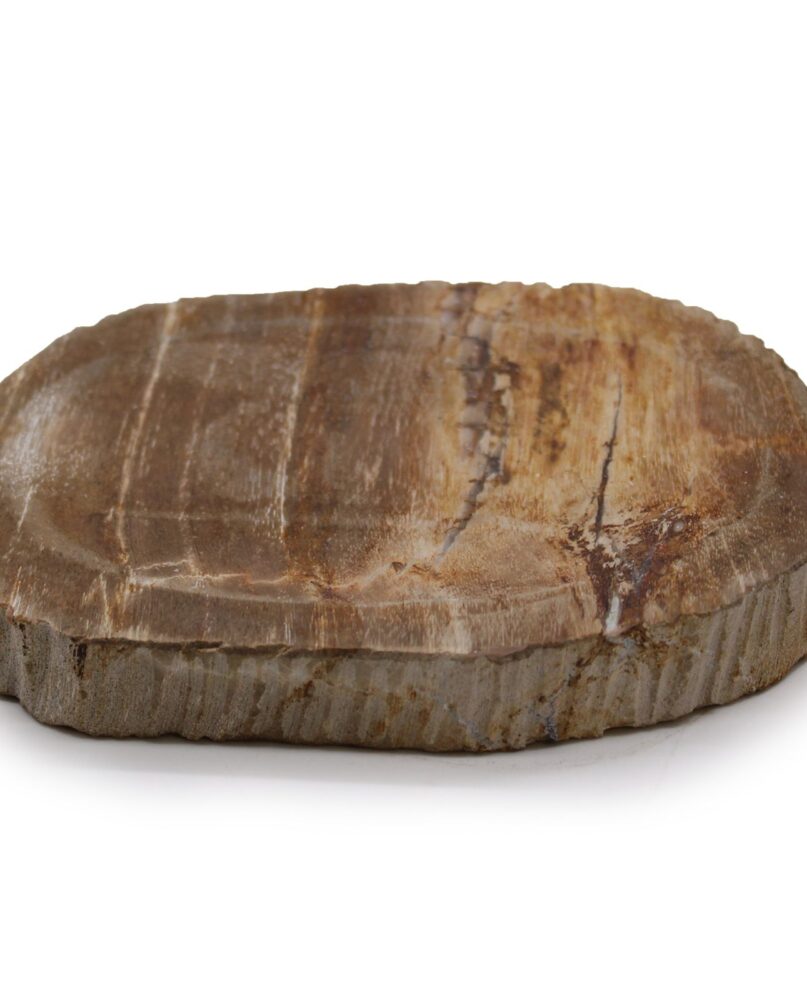 Petrified Wood Brown Soap Dish