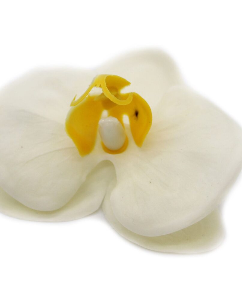 Craft Soap Flower - Paeonia - Cream