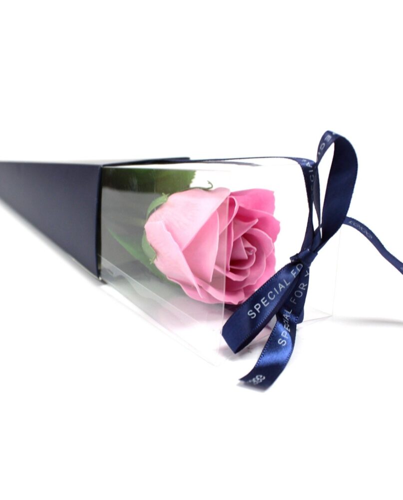 Single Rose - Pink Rose