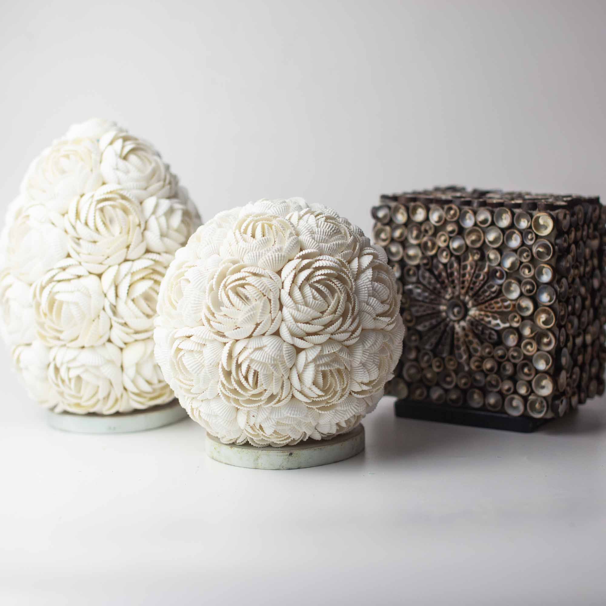 Boho Sea Shell Lamp - Chocolate Twist Oval - 15cm - Image 2