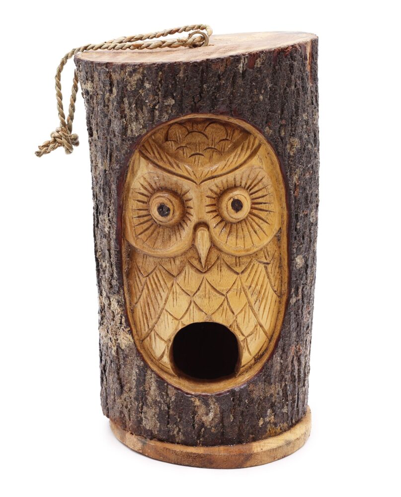 Tree Trunk Face - Bird House - Wise Owl