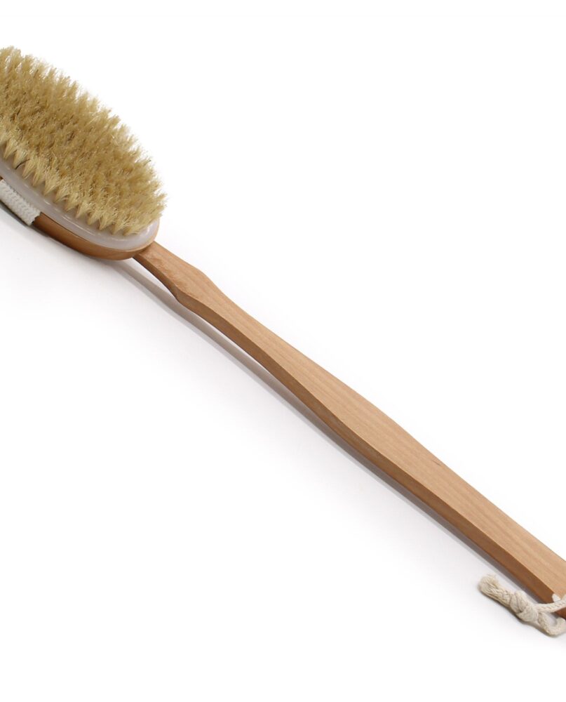 Long Handle Body Brush