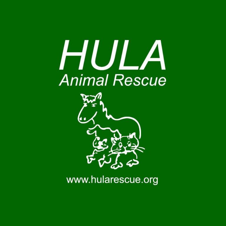 The Unlikely Heroes: How Plumb Suite Ltd’s Emergency Plumbing Call Out Saved the Day at Hula Animal Rescue