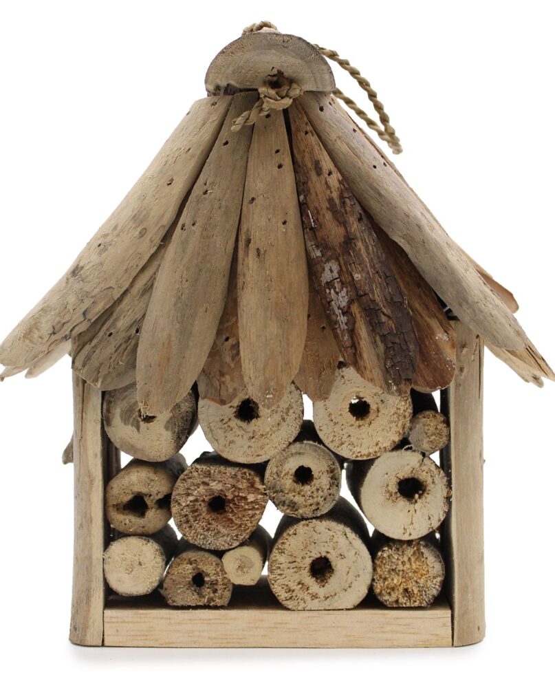 Driftwood Bee & Insect Box