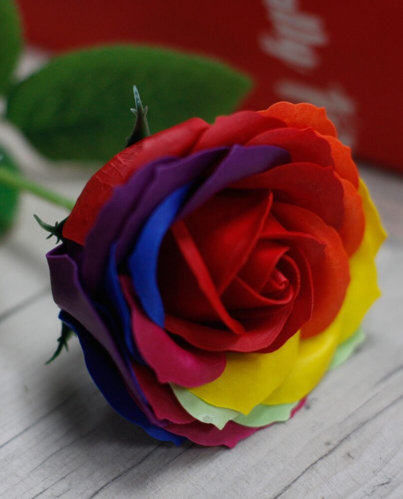 Luxury Soap Flower - Rainbow