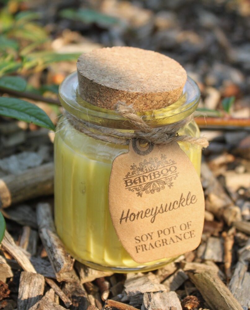 Honeysuckle Soy Pot of Fragrance Candles