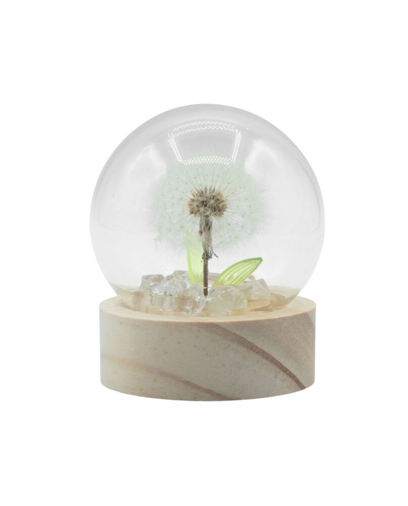 Floral Glow Garden Dome - 1 Dandilion- LED Battery