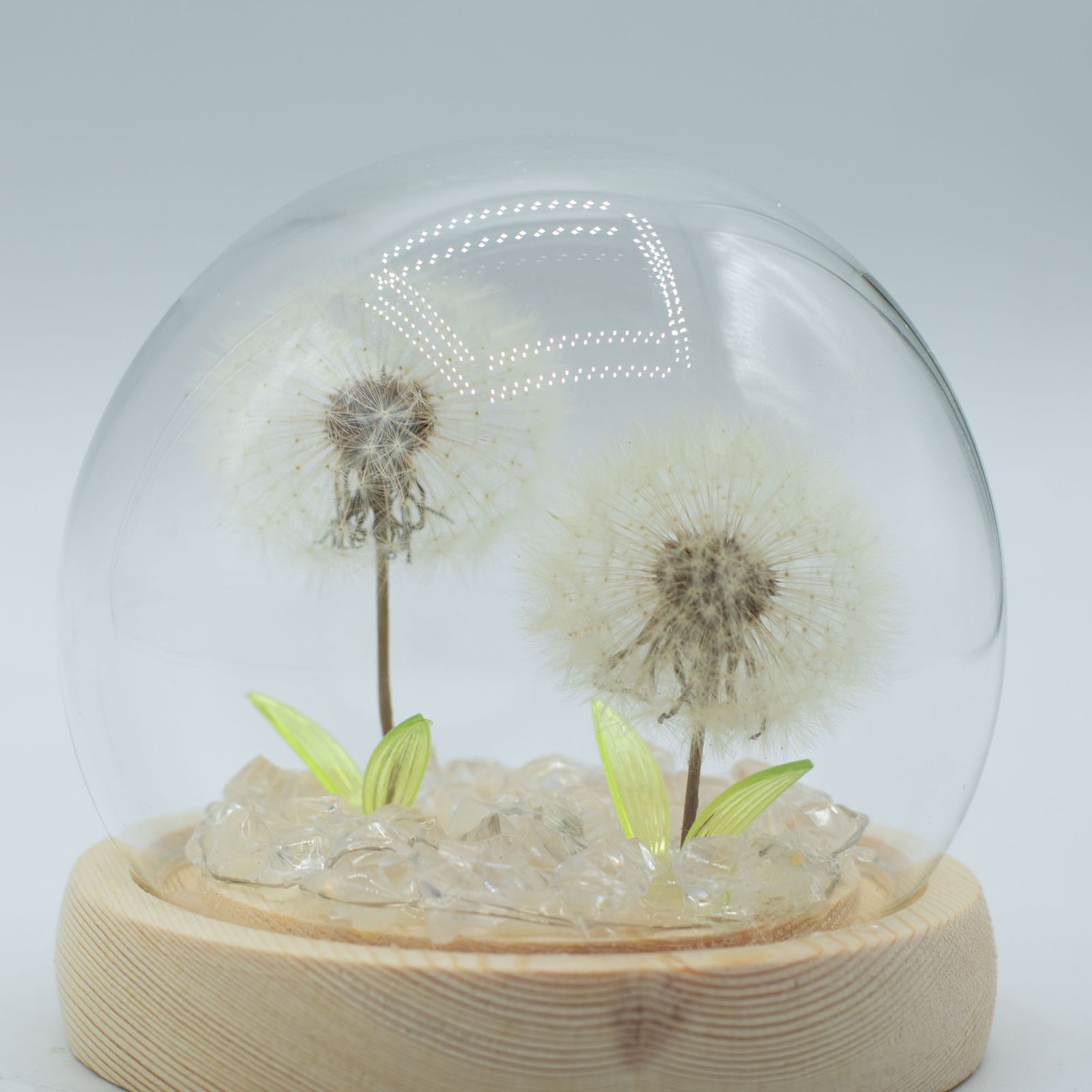 Floral Glow Garden Dome - 2 Dandelions - LED USB - Image 3