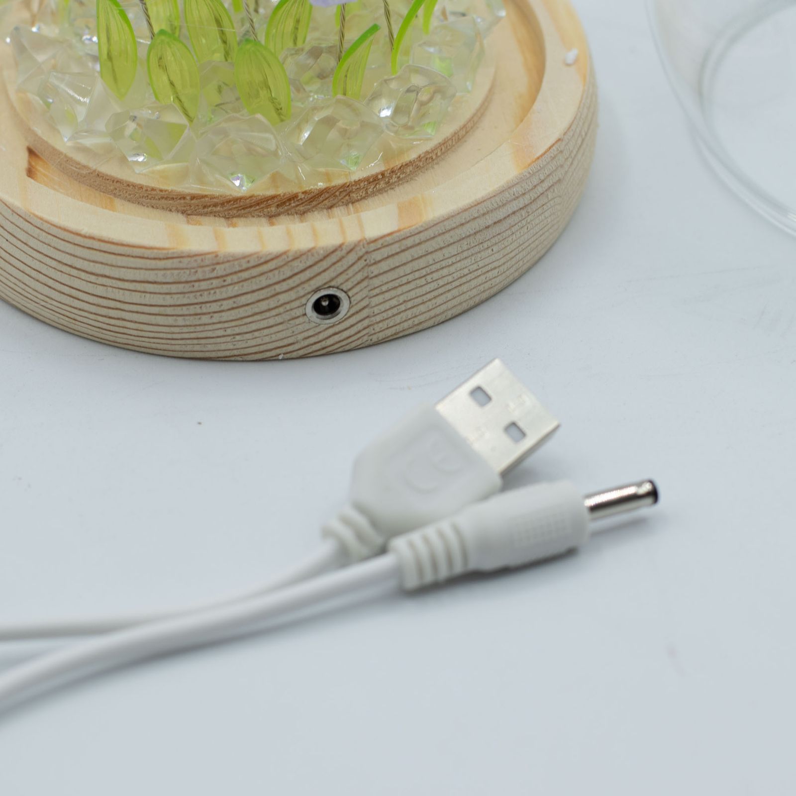 Floral Glow Garden Dome - 20 Tulips - LED USB - Image 2