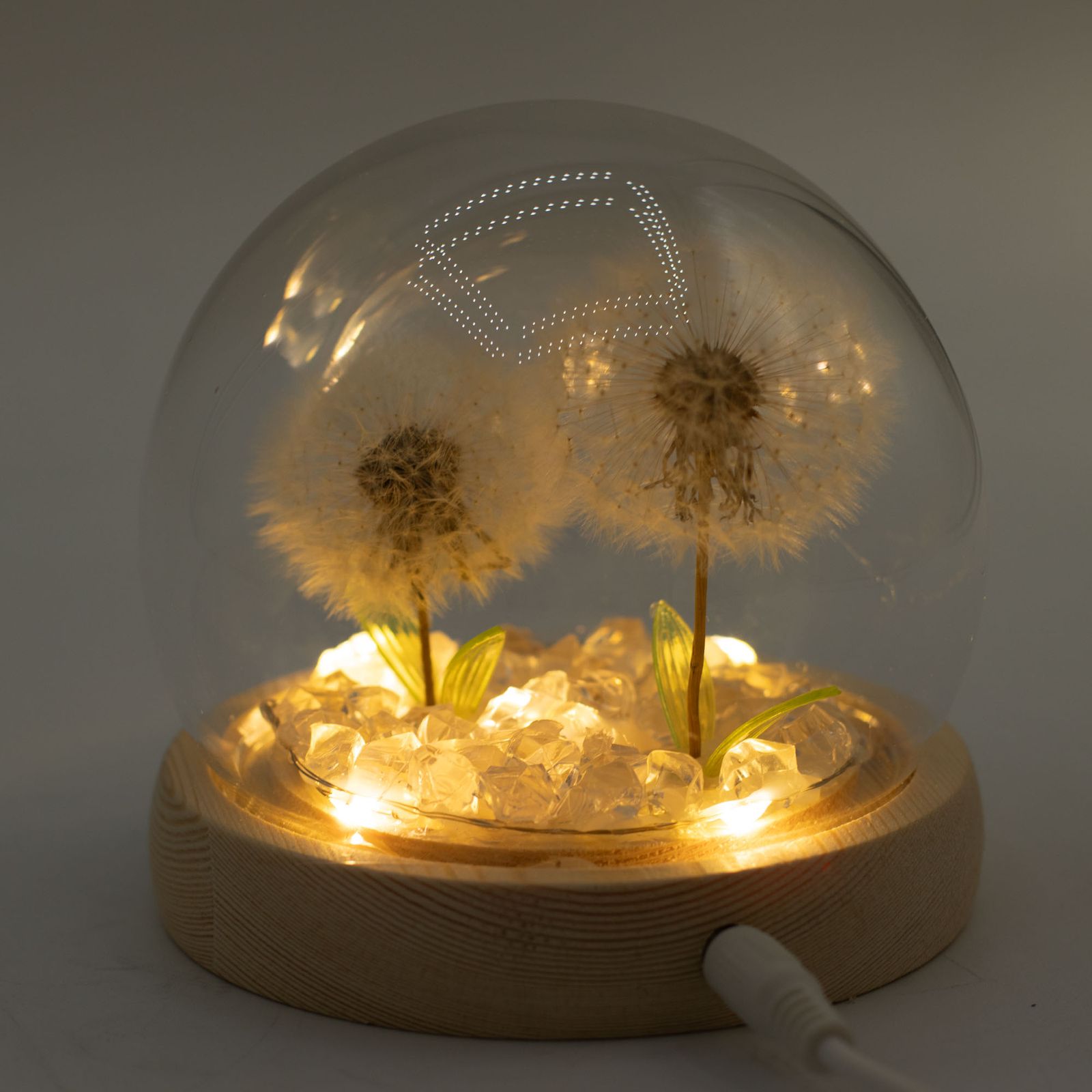 Floral Glow Garden Dome - 2 Dandelions - LED USB - Image 6