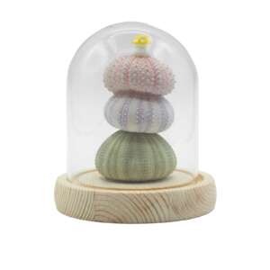 Floral Glow Garden Dome - 3 Sea Urchins - LED USB