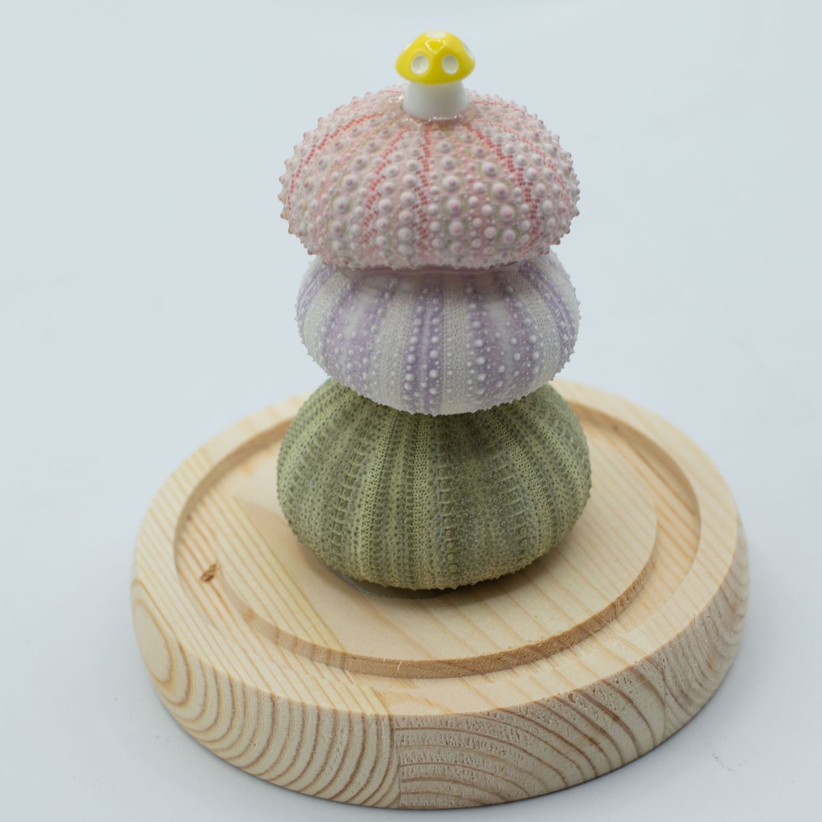 Floral Glow Garden Dome - 3 Sea Urchins - LED USB - Image 4