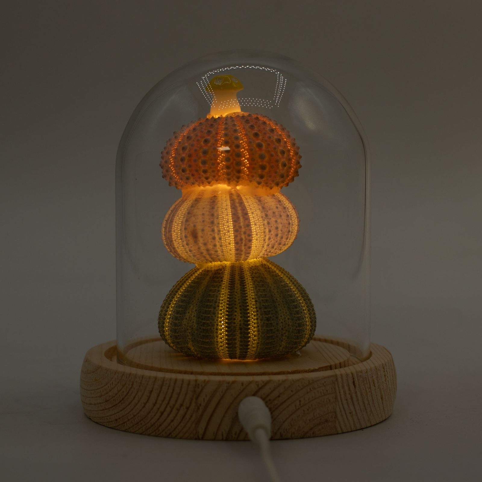Floral Glow Garden Dome - 3 Sea Urchins - LED USB - Image 6