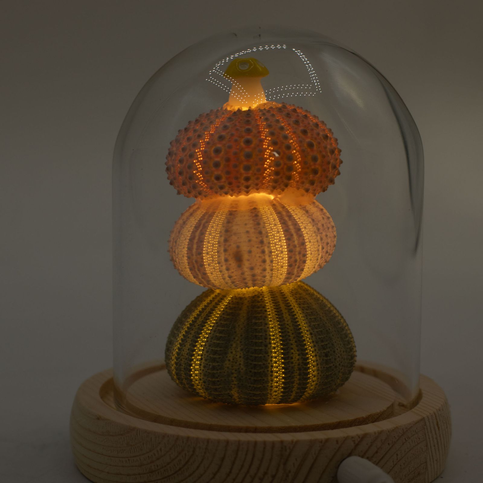 Floral Glow Garden Dome - 3 Sea Urchins - LED USB - Image 7