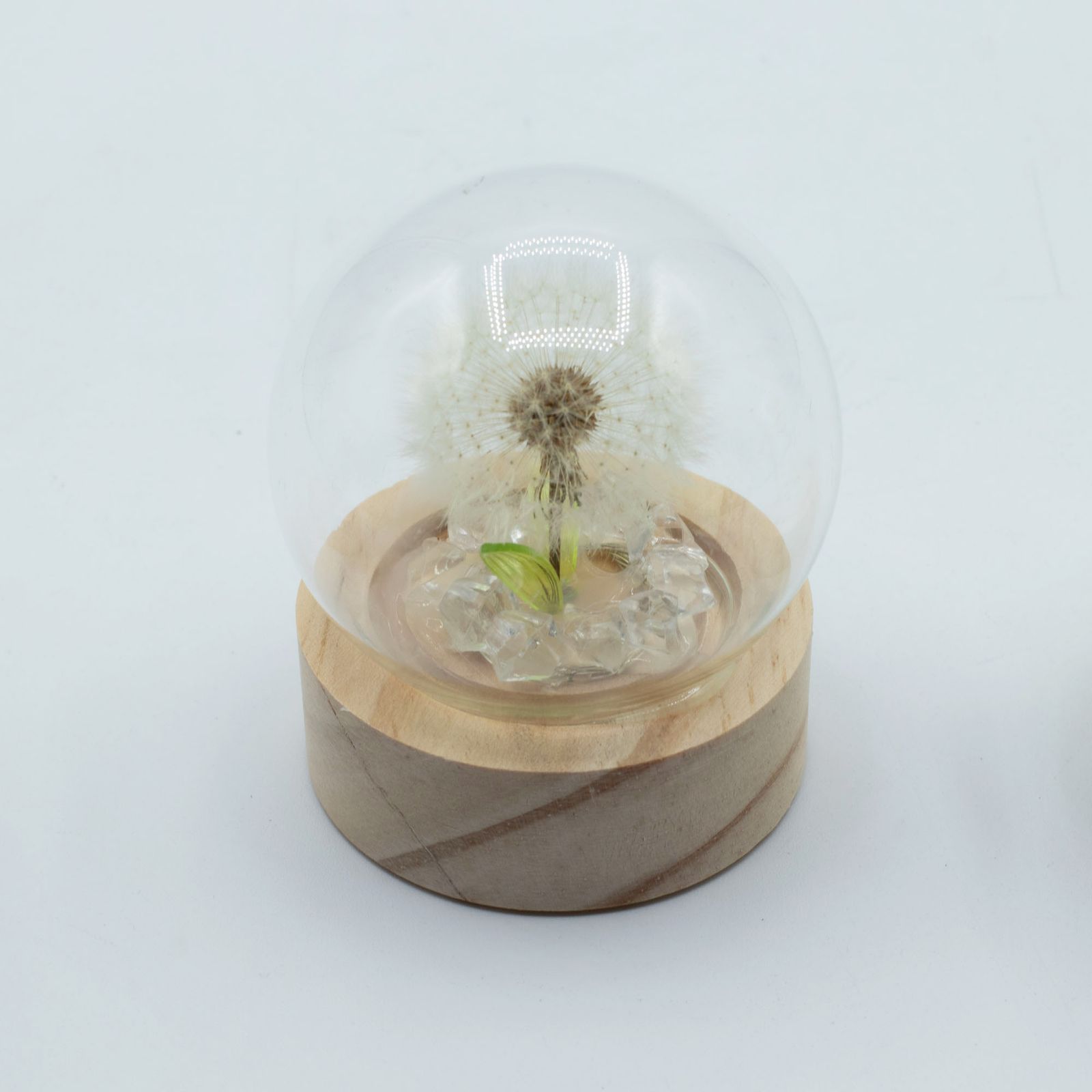 Floral Glow Garden Dome - 1 Dandilion- LED Battery - Image 2
