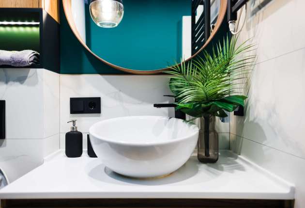 Washbasin in a modern bathroom with ornamental plants and bathroom accessories.